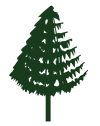 Tree.png